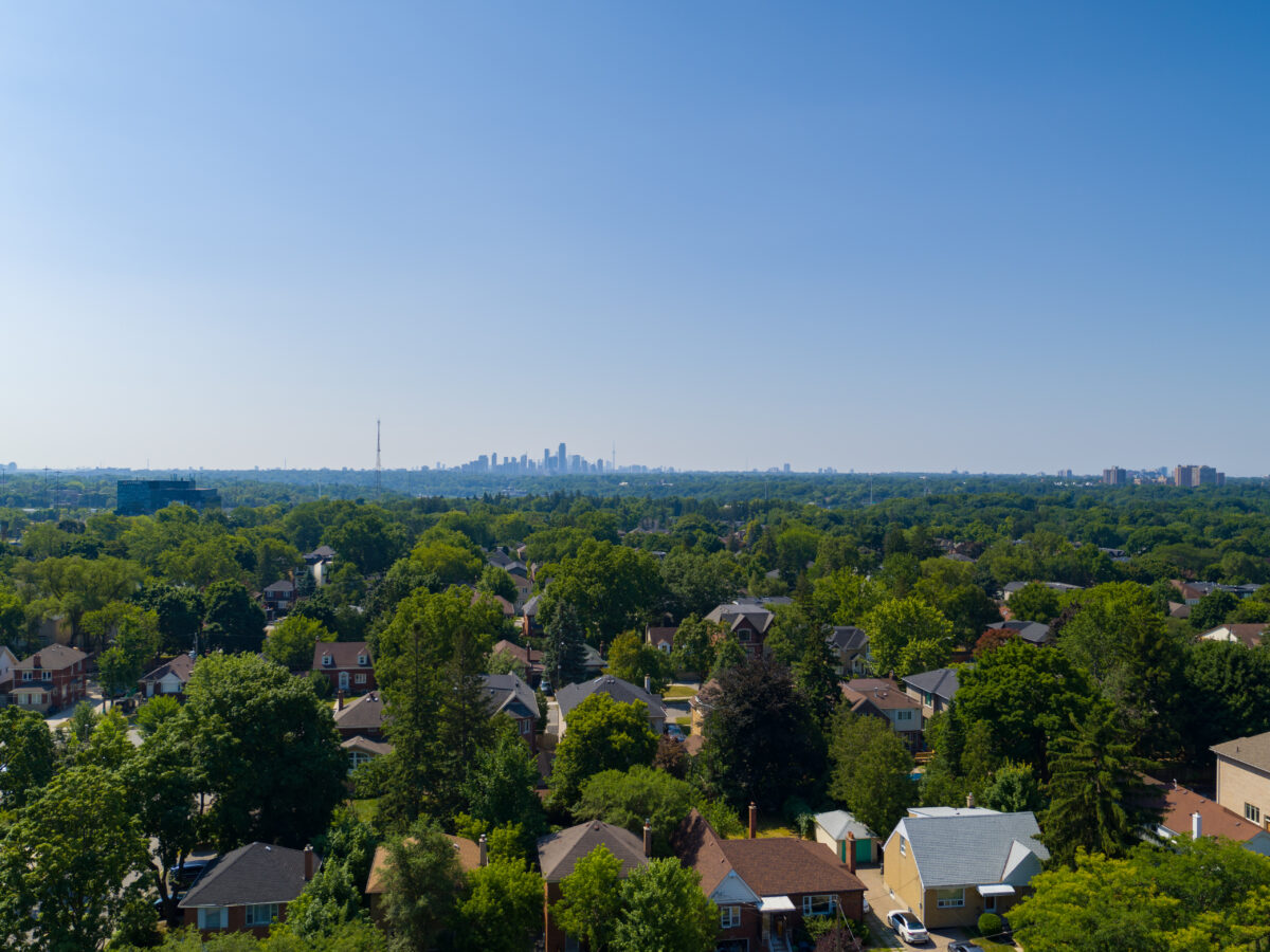 12th Floor South View