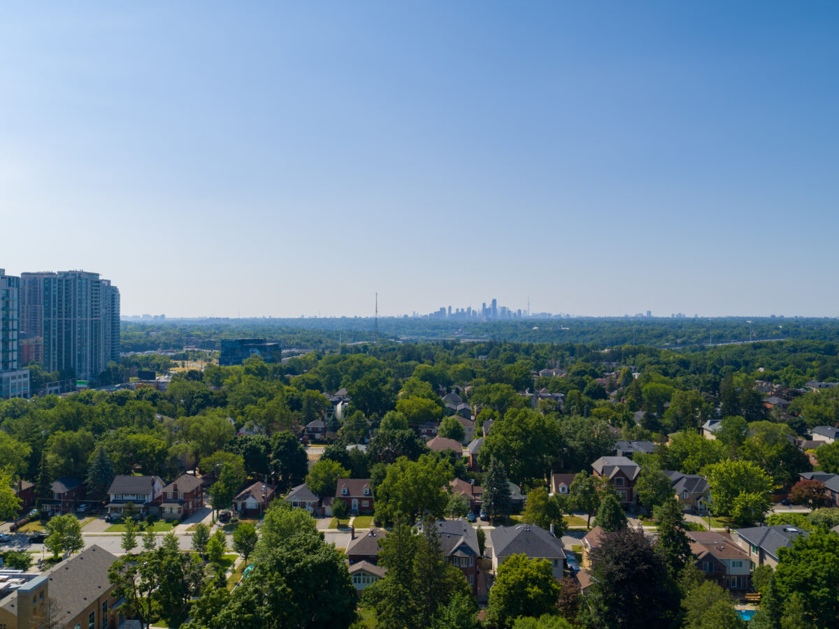 16th Floor South View